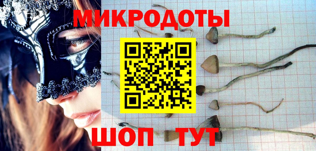 Галлюциногенные грибы GOLDEN TEACHER Новокузнецк