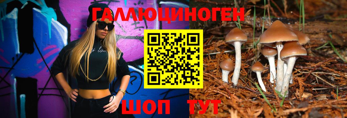 Галлюциногенные грибы прущие грибы  Вход с VPN  Новокузнецк  наркошоп  Псилоцибиновые грибы Cubensis 